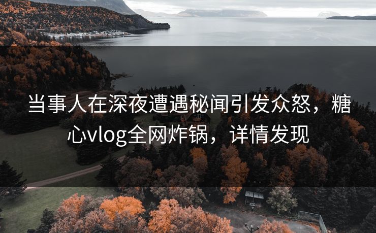 当事人在深夜遭遇秘闻引发众怒，糖心vlog全网炸锅，详情发现