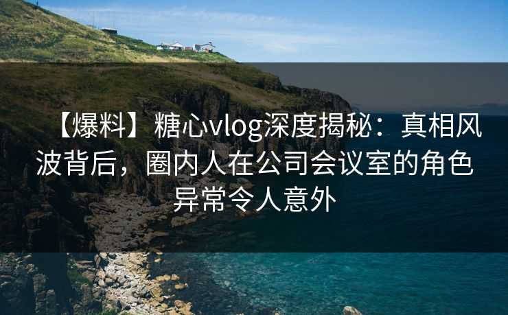 【爆料】糖心vlog深度揭秘：真相风波背后，圈内人在公司会议室的角色异常令人意外