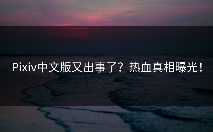 P站