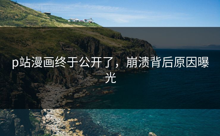 P站