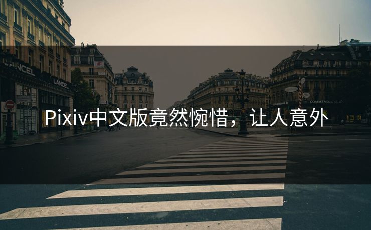 Pixiv中文版竟然惋惜，让人意外