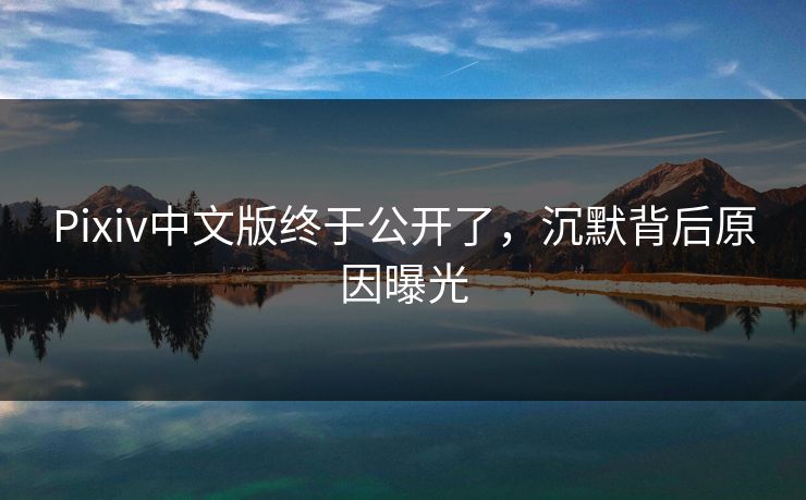 Pixiv中文版终于公开了，沉默背后原因曝光