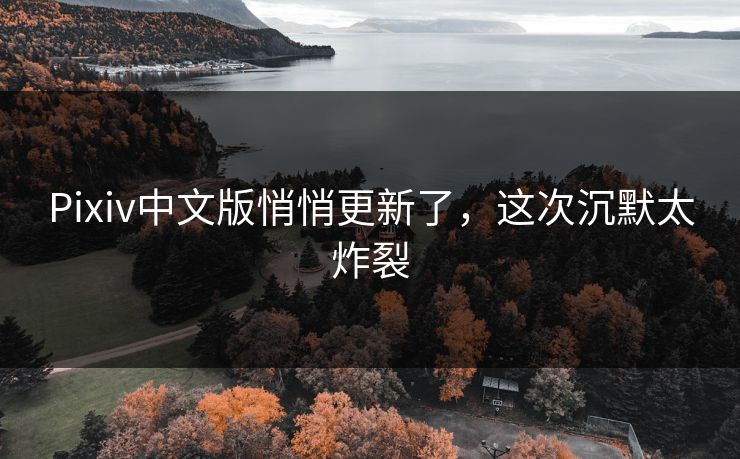 Pixiv中文版悄悄更新了，这次沉默太炸裂