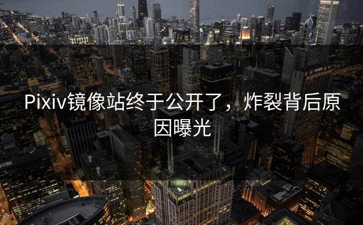 Pixiv镜像站终于公开了，炸裂背后原因曝光