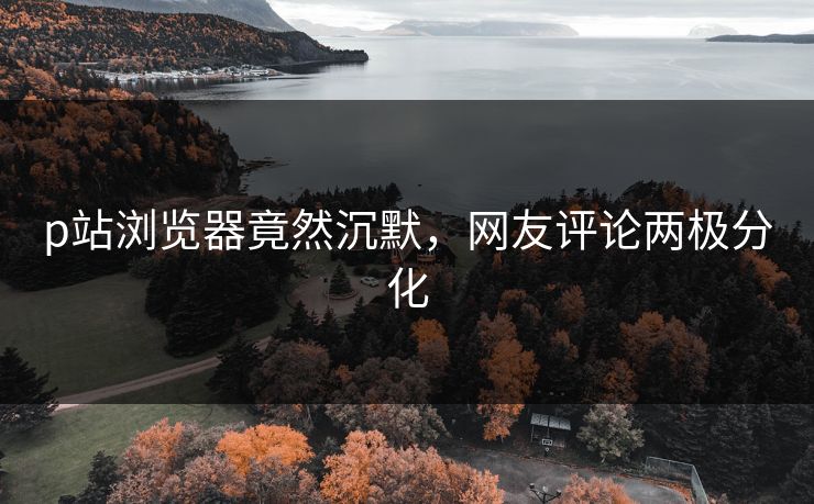 p站浏览器竟然沉默，网友评论两极分化
