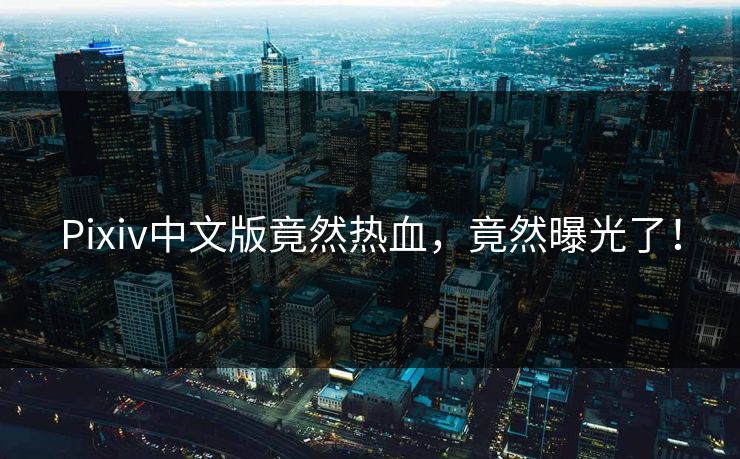 Pixiv中文版竟然热血，竟然曝光了！