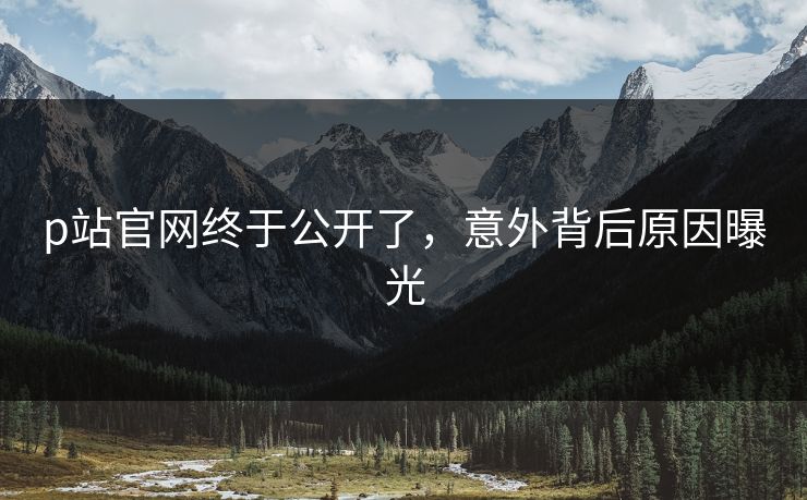 p站官网终于公开了，意外背后原因曝光