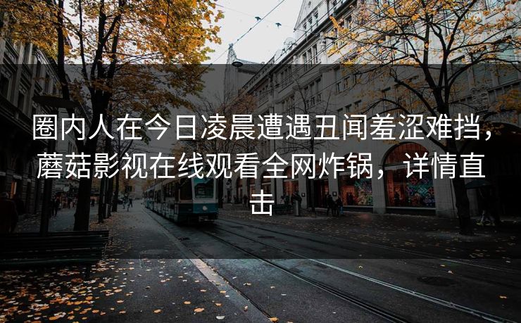 圈内人在今日凌晨遭遇丑闻羞涩难挡，蘑菇影视在线观看全网炸锅，详情直击