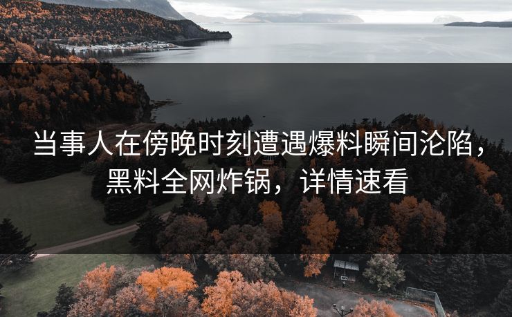 当事人在傍晚时刻遭遇爆料瞬间沦陷，黑料全网炸锅，详情速看