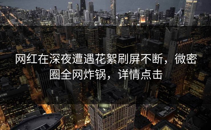 网红在深夜遭遇花絮刷屏不断，微密圈全网炸锅，详情点击