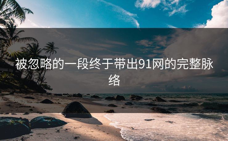 被忽略的一段终于带出91网的完整脉络